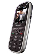 Best available price of Motorola WX288 in Suriname