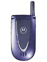 Best available price of Motorola V66i in Suriname